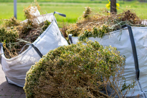Professional Junk Removal Services in Morgan City, LA